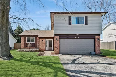 313 Thistle Drive, Bolingbrook, IL 60490 - Photo 1