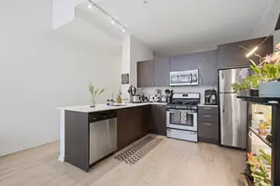 1345 S Wabash Ave, Chicago, IL 60605 - Photo 9