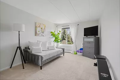 16 E Old Willow Road #223S, Prospect Heights, IL 60070 - Photo 11