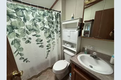 25807 S Doral Drive, Monee, IL 60449 - Photo 9