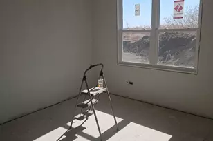 929 Covey Lane, Coal City, IL 60416 - Photo 9