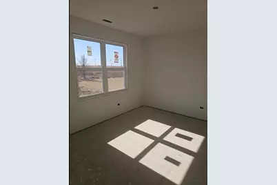 929 Covey Lane, Coal City, IL 60416 - Photo 11