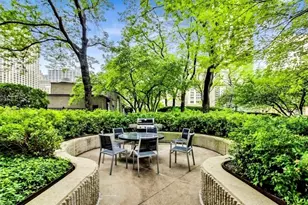 10 E Ontario St, Chicago, IL 60611 - Photo 17