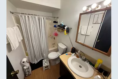 216 Madison Street #3D, Joliet, IL 60435 - Photo 5