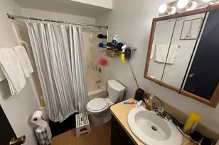 216 Madison St, Joliet, IL 60435 - Photo 5