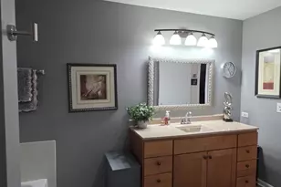 20948 W Orange Blossom Ln, Plainfield, IL 60544 - Photo 13