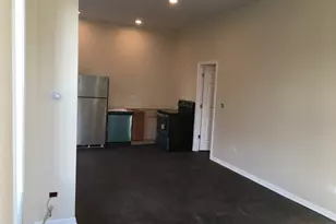 321 W 24th St, Chicago, IL 60616 - Photo 13