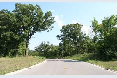 1233 Oak Grove Court, Morris, IL 60450 - Photo 1