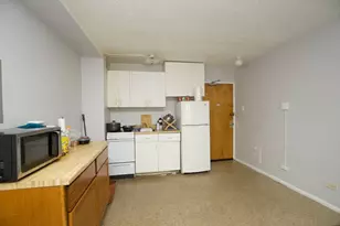 7333 N Ridge Blvd, Chicago, IL 60645 - Photo 3