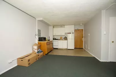 7333 N Ridge Boulevard #201, Chicago, IL 60645 - Photo 9