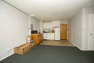 7333 N Ridge Blvd, Chicago, IL 60645 - Photo 9