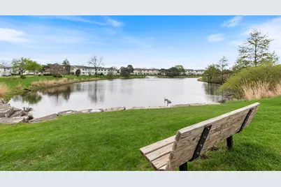 236 N Waterford Drive, Schaumburg, IL 60194 - Photo 29