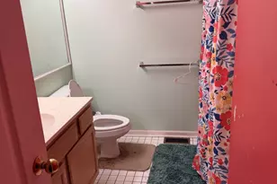 4791 Amber Cir, Hoffman Estates, IL 60192 - Photo 13