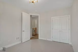 20336 Mackinac Point Dr, Frankfort, IL 60423 - Photo 37