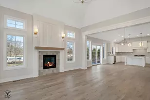 20336 Mackinac Point Dr, Frankfort, IL 60423 - Photo 9