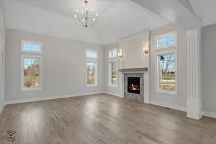 20336 Mackinac Point Dr, Frankfort, IL 60423 - Photo 15