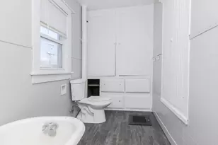 26 Lafayette St, Saunemin, IL 61769 - Photo 29