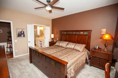 13436 Dakota Fields Drive, Huntley, IL 60142 - Photo 11