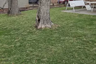 5425 W 99th St, Oak Lawn, IL 60453 - Photo 31