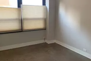 5050 S East End Ave, Chicago, IL 60615 - Photo 13