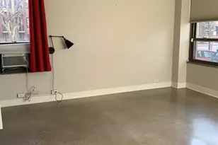 5050 S East End Ave, Chicago, IL 60615 - Photo 11