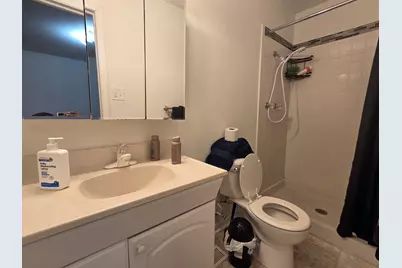 410 Aster Lane, Hoffman Estates, IL 60169 - Photo 9