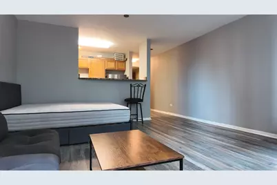 345 N Lasalle Drive #509, Chicago, IL 60654 - Photo 15