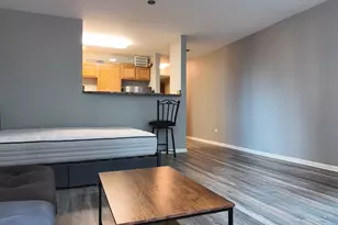 345 N La Salle Dr, Chicago, IL 60654 - Photo 15