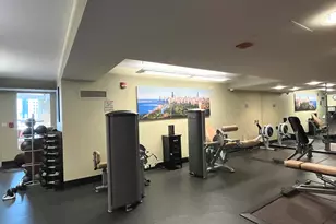 345 N La Salle Dr, Chicago, IL 60654 - Photo 19