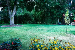 1920 N Washington St, Wheaton, IL 60187 - Photo 51