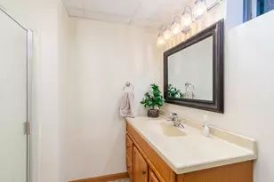 100 Willow Trail, Spring Valley, IL 61362 - Photo 35