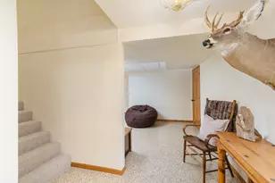 100 Willow Trail, Spring Valley, IL 61362 - Photo 31