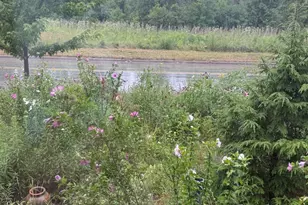 5881 N Central Ave, Chicago, IL 60646 - Photo 31