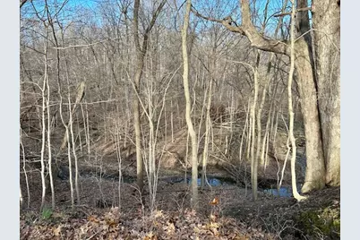 22219 Carltons Dell Road, Danville, IL 61834 - Photo 57