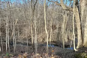 22219 Carltons Dell Rd, Danville, IL 61834 - Photo 57