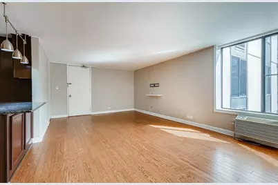 1339 N Dearborn Street #11H, Chicago, IL 60610 - Photo 5