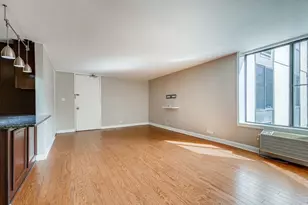 1339 N Dearborn St, Chicago, IL 60610 - Photo 5