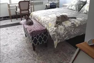 4250 N Marine Dr, Chicago, IL 60613 - Photo 7