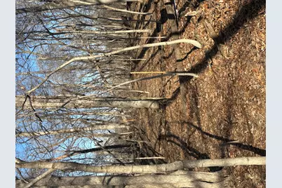 1784 Tanglewood Drive, Varna, IL 61375 - Photo 3