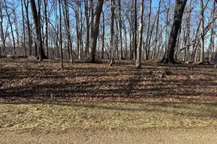 1784 Tanglewood Dr, Varna, IL 61375 - Photo 1