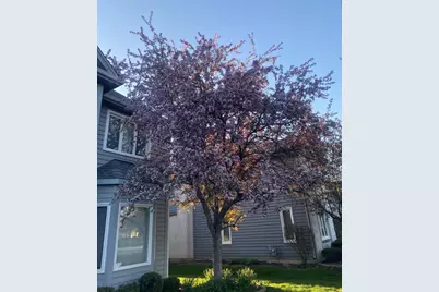 3719 Falkner Drive, Naperville, IL 60564 - Photo 41