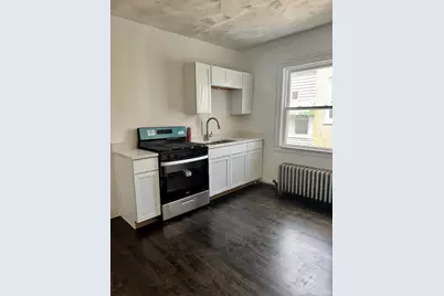 2456 W Lithuanian Plaza Court, Chicago, IL 60629 - Photo 17