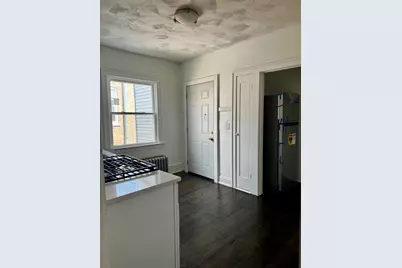 2456 W Lithuanian Plaza Court, Chicago, IL 60629 - Photo 19