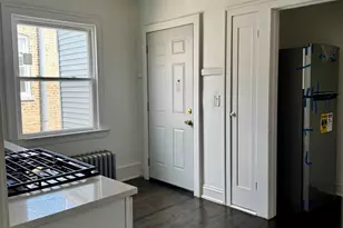 2456 W Lithuanian Plaza Ct, Chicago, IL 60629 - Photo 19