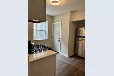 2456 W Lithuanian Plaza Court, Chicago, IL 60629 - Photo 11