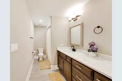 22843 Sara Springs Drive, Frankfort, IL 60423 - Photo 39