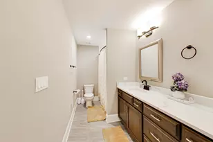 22843 Sara Springs Dr, Frankfort, IL 60423 - Photo 39