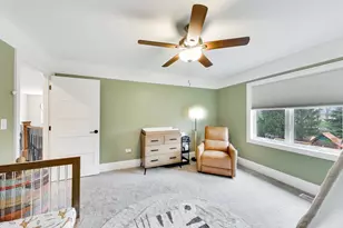 22843 Sara Springs Dr, Frankfort, IL 60423 - Photo 37