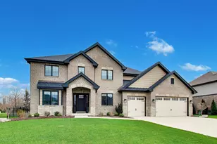 22843 Sara Springs Dr, Frankfort, IL 60423 - Photo 1