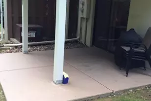 3001 31st St, Rock Island, IL 61201 - Photo 5